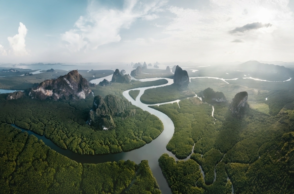 The Wonders of Rewilding: Restoring Ecosystems for a Healthier Planet