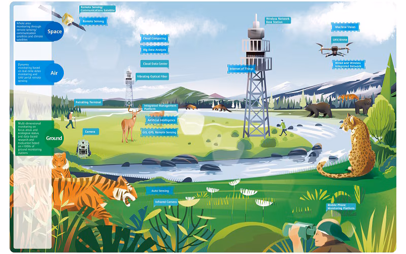 Tech for Nature: How Innovations Are Empowering Conservation Efforts