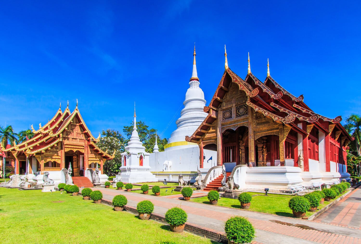 Top 5 Must-Visit Places in Chiang Mai, Thailand